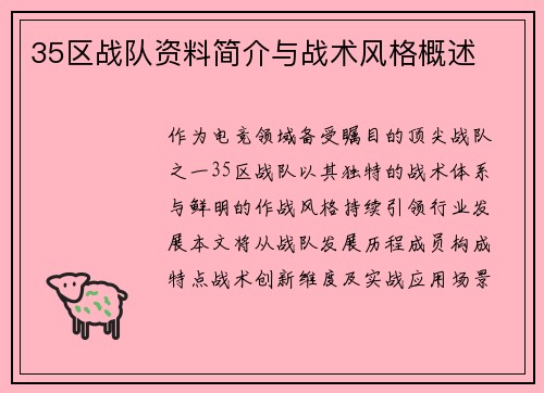 35区战队资料简介与战术风格概述