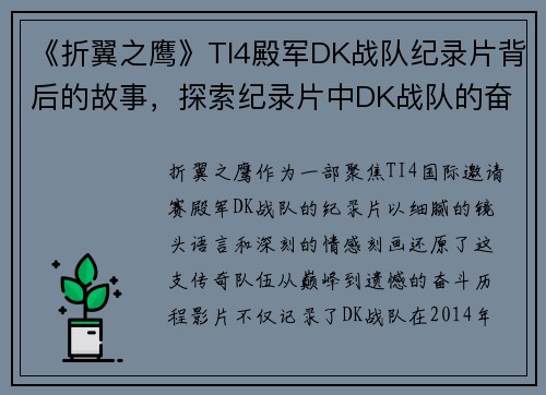 《折翼之鹰》TI4殿军DK战队纪录片背后的故事，探索纪录片中DK战队的奋斗历程。